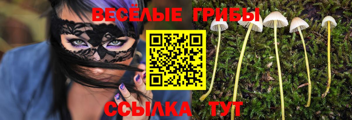 Галлюциногенные грибы Cubensis Сорочинск